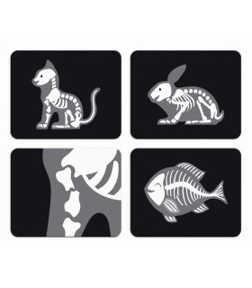 El caso del veterinario