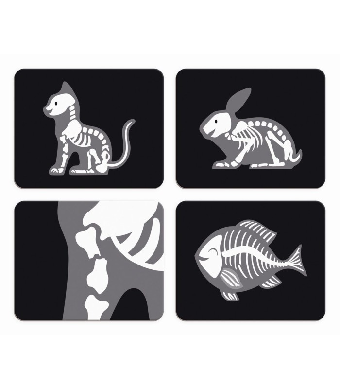 El caso del veterinario