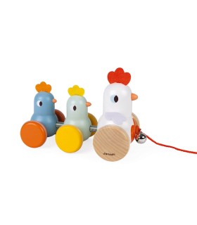 Gallina y pollitos de arrastre