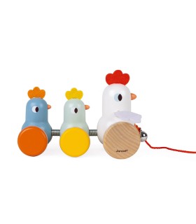 Gallina y pollitos de arrastre