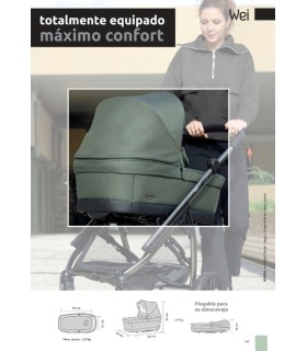 BÉBÉCAR COCHE DUO WEI