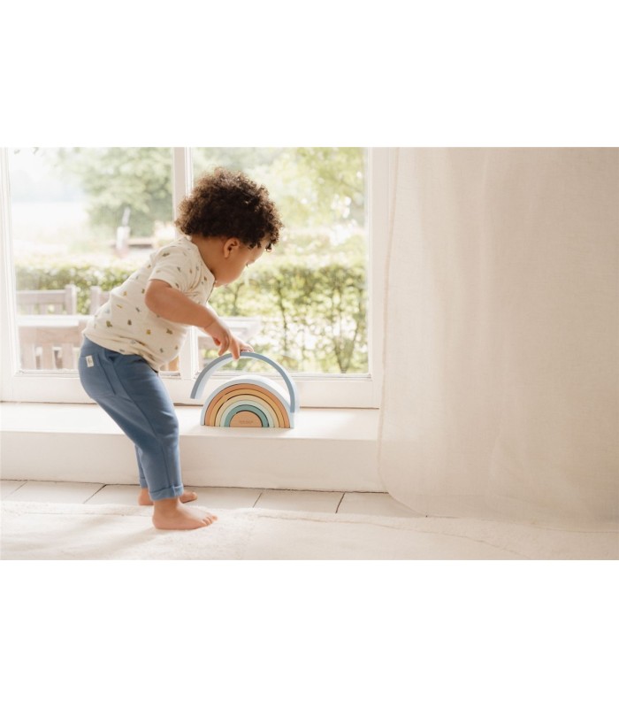 ARCO IRIS FOREST FRIENDS