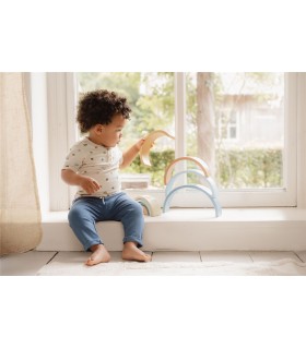 ARCO IRIS FOREST FRIENDS