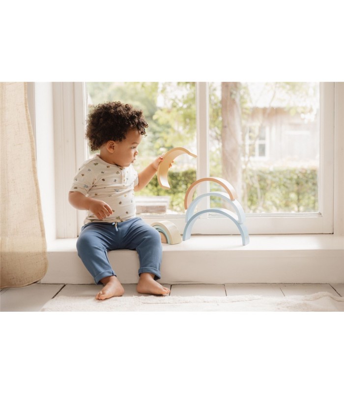 ARCO IRIS FOREST FRIENDS