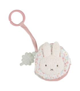 LIBRITO BLANDO ACTIVIDADES ANI MIFFY BLO