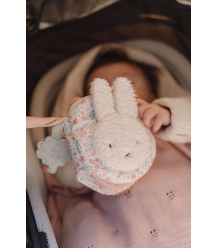 LIBRITO BLANDO ACTIVIDADES ANI MIFFY BLO