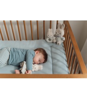 CAJA REGALO MIFFY LUCKY LEAVES LITTLE DUTCH