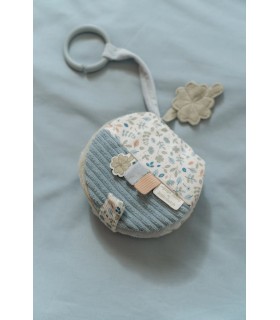 LIBRITO BLANDO ACTIVIDADES ANILLA LEAVES