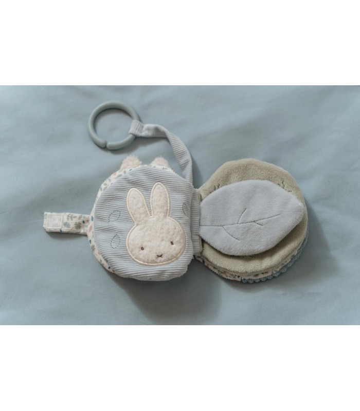 LIBRITO BLANDO ACTIVIDADES ANILLA LEAVES