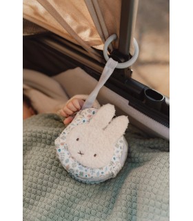 LIBRITO BLANDO ACTIVIDADES ANILLA LEAVES