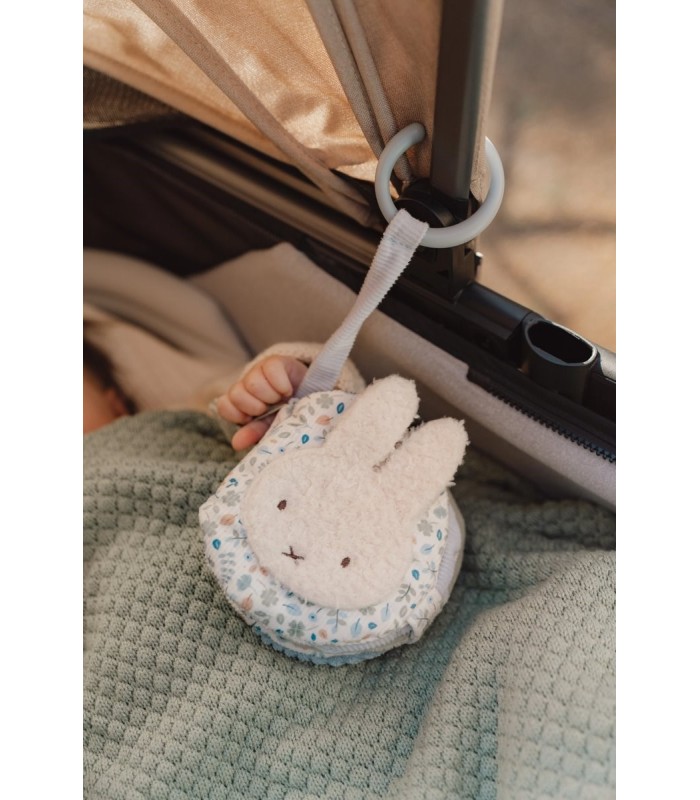 LIBRITO BLANDO ACTIVIDADES ANILLA LEAVES