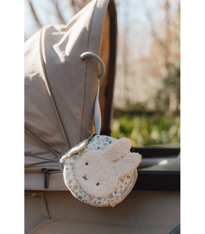 LIBRITO BLANDO ACTIVIDADES ANILLA LEAVES