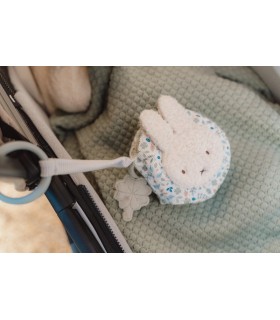 LIBRITO BLANDO ACTIVIDADES ANILLA LEAVES