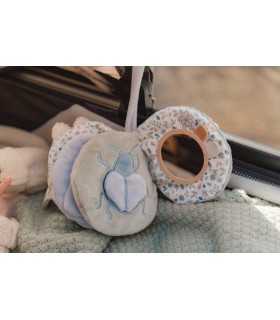 LIBRITO BLANDO ACTIVIDADES ANILLA LEAVES