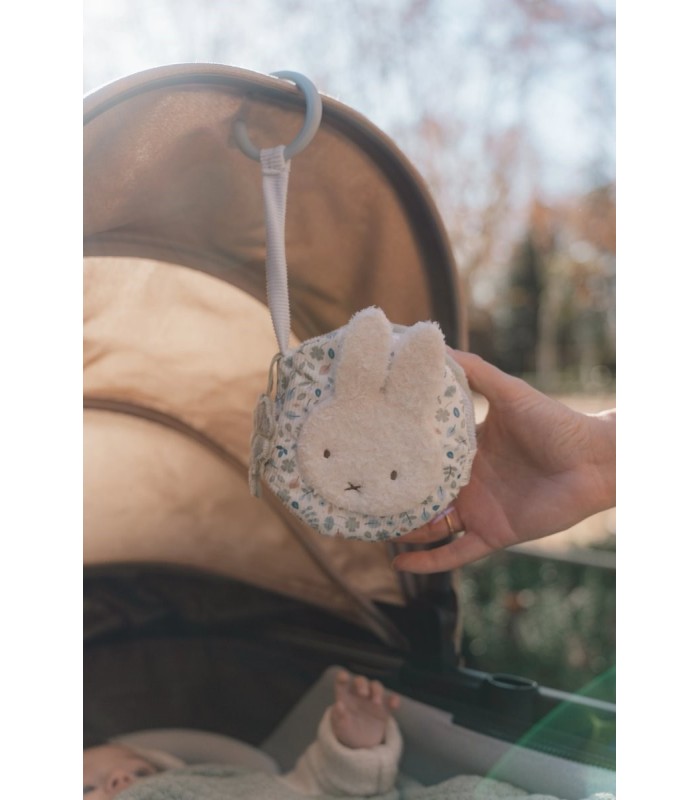 LIBRITO BLANDO ACTIVIDADES ANILLA LEAVES