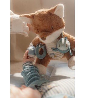 ZORRO DE ACTIVIDADES FOREST FRIENDS