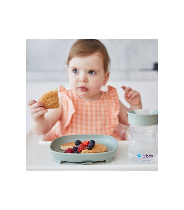 Plato 2 en 1 con ventosa y compatimentos extraíbles B.Box