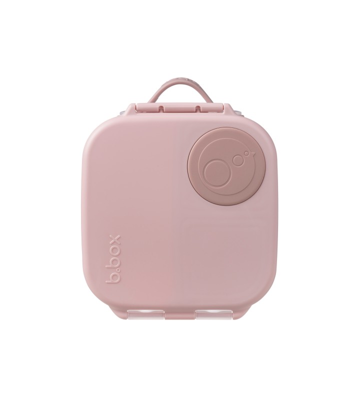 Mini Lunchbox B.Box