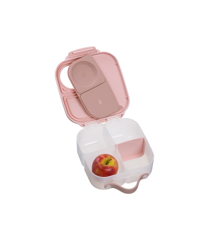 Mini Lunchbox B.Box