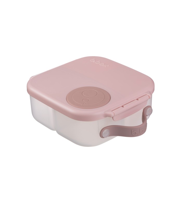 Mini Lunchbox B.Box