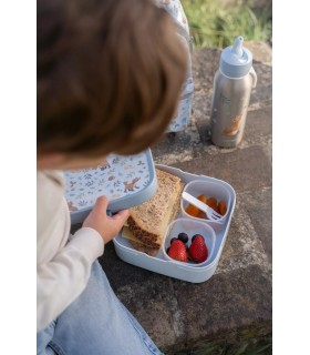 CAJA BENTO CAMPUS GRANDE FOREST FRIENDS