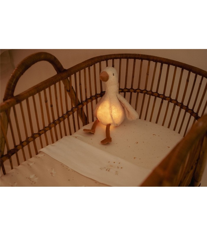LUZ COMPAÑIA MUSICAL OCA NEWBORN NATURAL