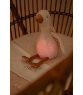 LUZ COMPAÑIA MUSICAL OCA NEWBORN NATURAL