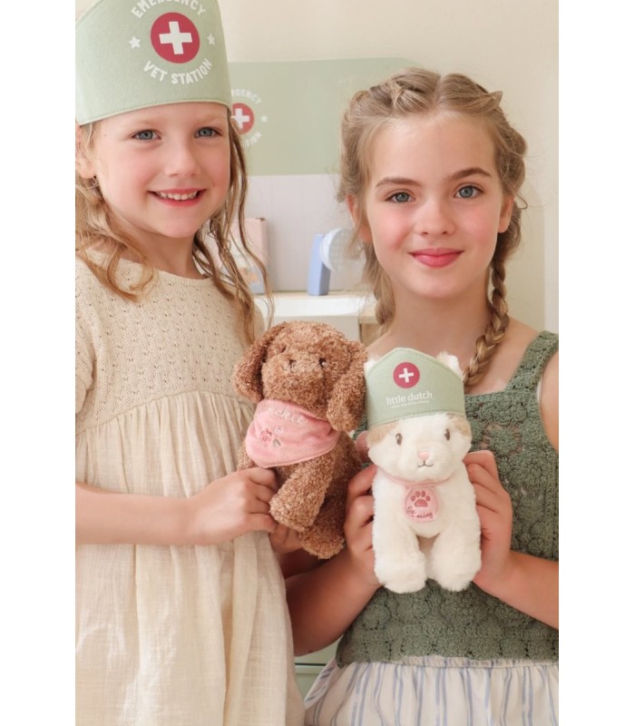 VETERINARIO FSC LITTLE DUTCH