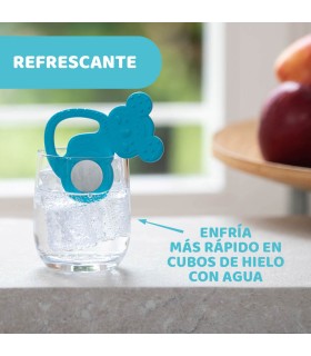 MORDEDOR REFRESCANTE DE ACERO INOXIDABLE KOALA