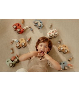 CAMIóN GRÚA FSC LITTLE DUTCH